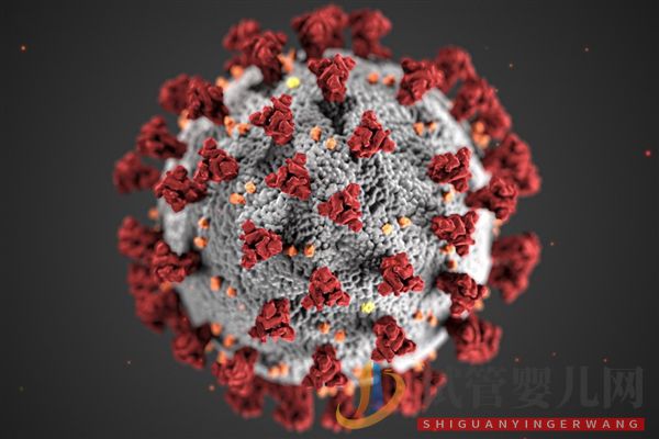 新冠抗原檢測(cè)收費(fèi)不得高于每人次15元 新冠抗原檢測(cè)收費(fèi)不得高于每人次15元(圖1)