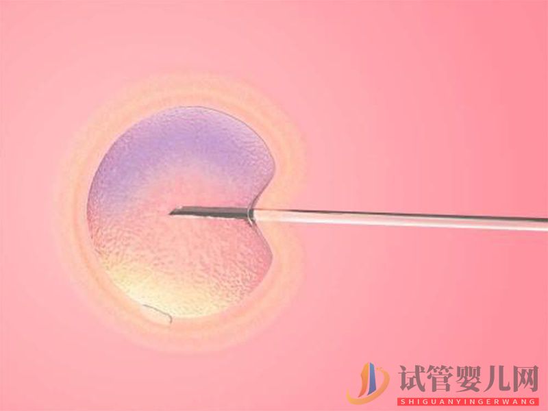 什么是PGS和PGD 它在三代試管中有哪些作用？(圖2)