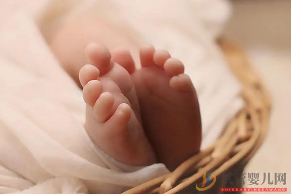 虎年生男生女表怎么看 教你準(zhǔn)確算性別(圖4) 虎年生男生女表怎么看 教你準(zhǔn)確算性別(圖4)