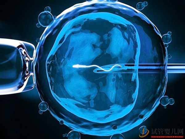 美國試管嬰兒流程(圖9)