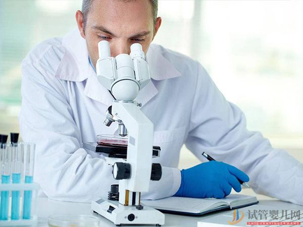 美國試管嬰兒流程(圖11)