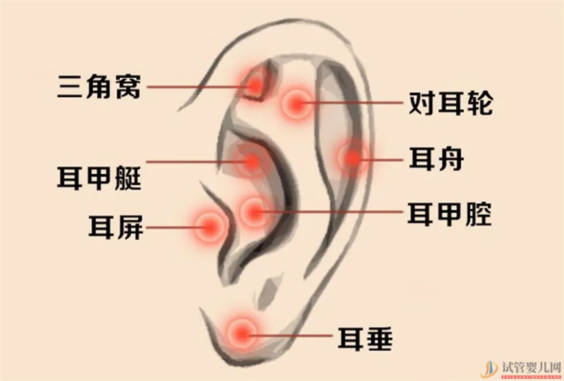 耳朵長(zhǎng)這樣的人更長(zhǎng)壽，這次中西醫(yī)觀點(diǎn)一致(圖1)