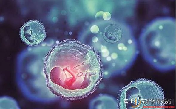 三代試管嬰兒的區(qū)別及如何選擇(圖3)