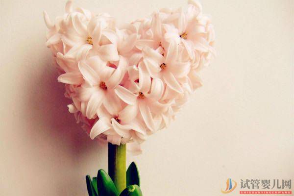 你身邊的單親媽媽正在過著怎樣的生活？(圖2)