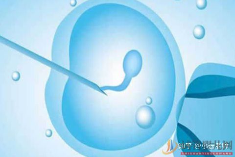 全面解讀一代、二代、三代試管嬰兒的區(qū)別(圖3)