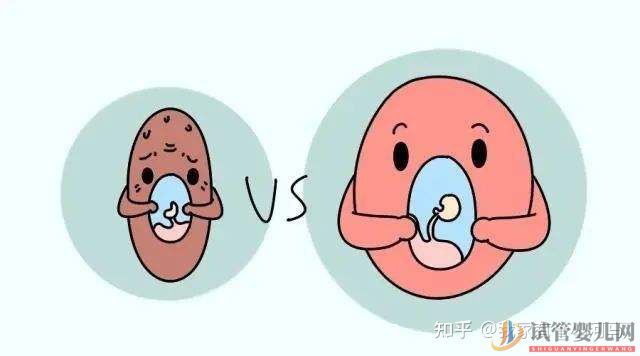 西昌第二代和第三代試管嬰兒的區(qū)別是什么_有什么不同(圖1)