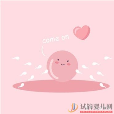 西昌試管一代,二代,三代有什么區別(圖2)