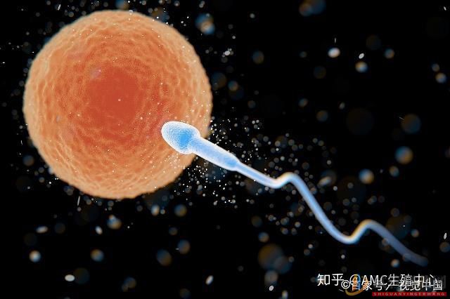 西昌試管嬰兒和普通嬰兒有什么區別(圖3)