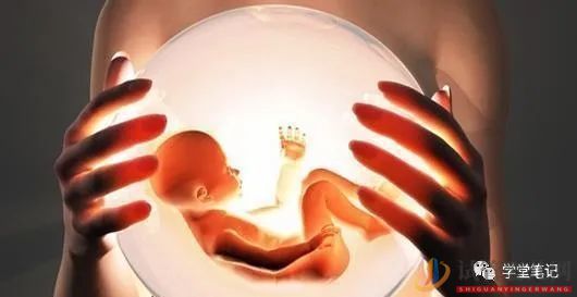 中國(guó)第一例“試管嬰兒”已經(jīng)33歲,她的現(xiàn)狀卻令人驚訝(圖1)