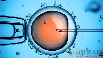 如何避開做試管嬰兒的誤區？(圖1)