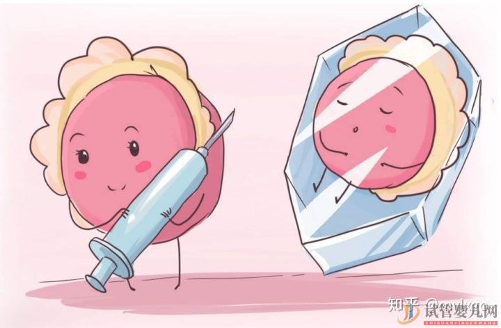 做試管嬰兒要帶什么證件(圖1) 做試管嬰兒要帶什么證件(圖1)