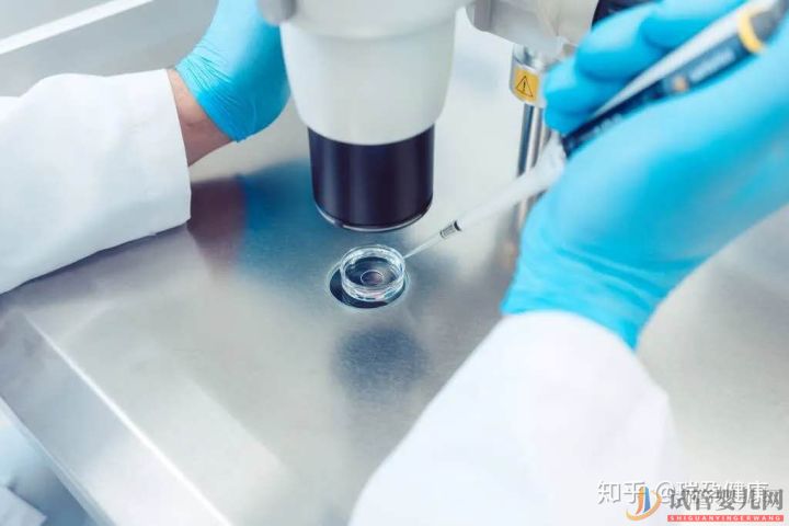 成都試管嬰兒花費(fèi)高,醫(yī)保可以報(bào)銷(xiāo)嗎_買(mǎi)哪種試管嬰兒(圖2)