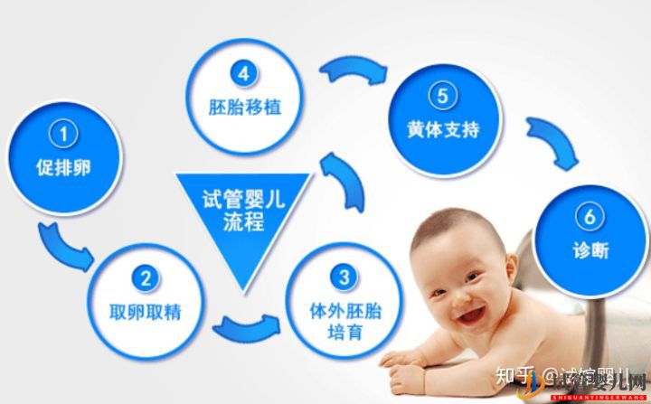 昆明試管嬰兒費用一般多少錢_這些事情你必須要知道(圖6)