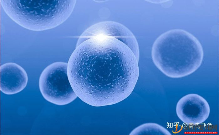 蘭州試管嬰兒龍鳳胎費用(圖2)