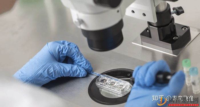 蘭州試管嬰兒龍鳳胎費用(圖3)