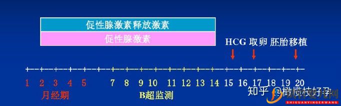 做試管嬰兒流程最全講解(圖1)