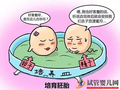 做試管嬰兒流程最全講解(圖2)