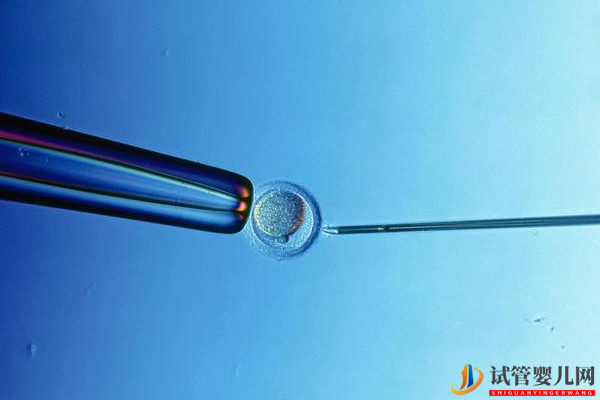 職場女性計劃試管行程和時間(圖2)