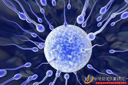 日喀則供卵試管嬰兒流程需要多久_進周期間可以正常上班嗎(圖2)