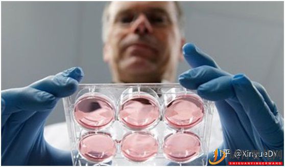 凍胚移植的流程概述_子宮內膜及身體準備非常重要(圖3)