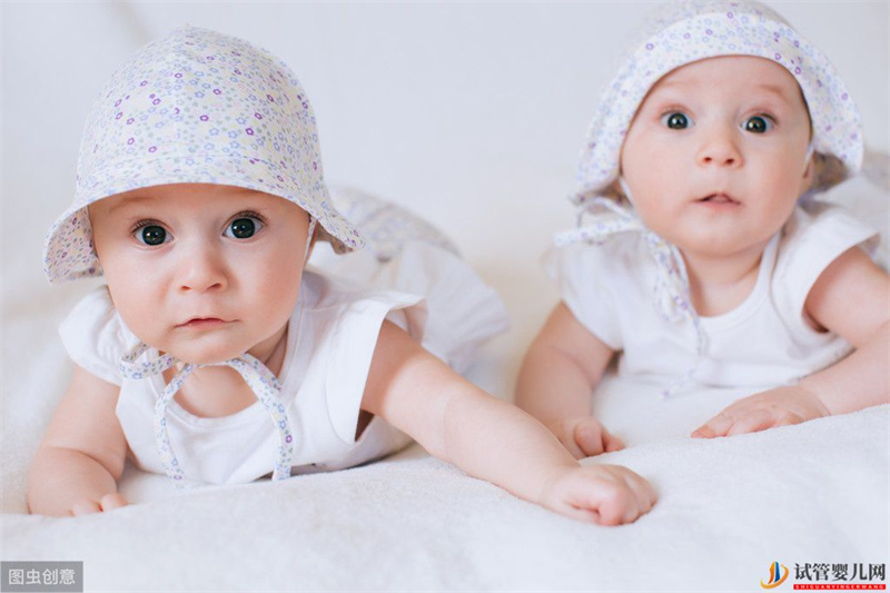 想生雙胞胎，借助試管技術(shù)走捷徑，移植兩個(gè)胚胎就一定能成功嗎？(圖1)