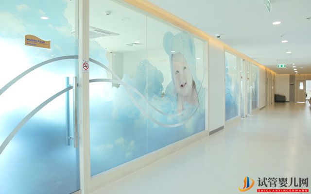 去泰國(guó)做試管嬰兒需要辦理哪些手續(xù)(圖1)