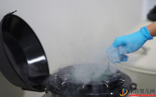 去泰國(guó)做試管嬰兒需要辦理哪些手續(xù)(圖2)