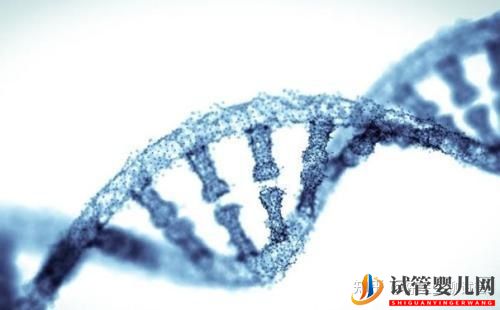 試管嬰兒多少錢一次_一個試管周期大概需(圖2)