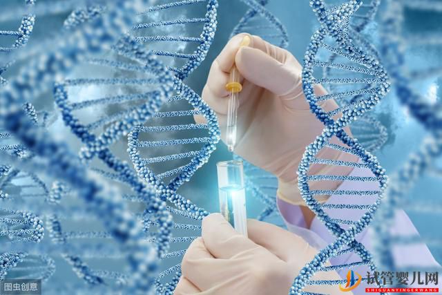 5個關于試管嬰兒出生的誤解(圖1)