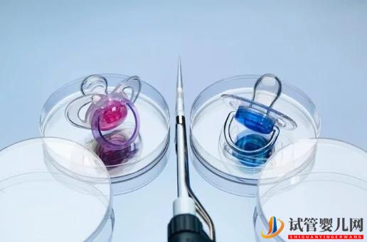 5個關于試管嬰兒出生的誤解(圖2)