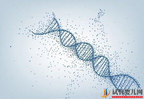 3分鐘教你看懂胚胎等級報告(圖7)