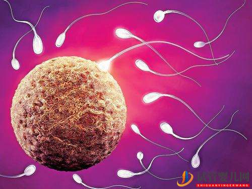 試管嬰兒網(wǎng):做一次試管嬰兒的過程多長時間呢(圖2) 做一次試管嬰兒的過程多長時間呢(圖1)