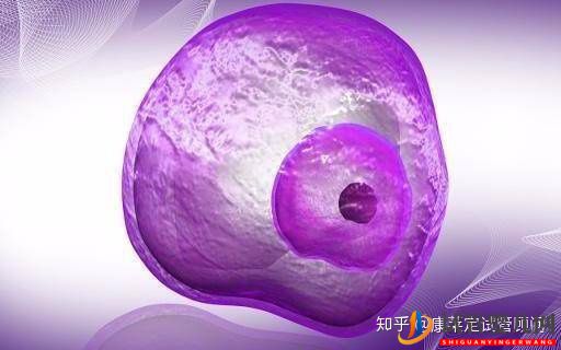 做試管嬰兒最詳細的講解,全部只要七步就能完成!(圖7)