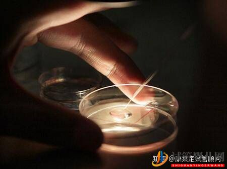做試管嬰兒最詳細的講解,全部只要七步就能完成!(圖8)