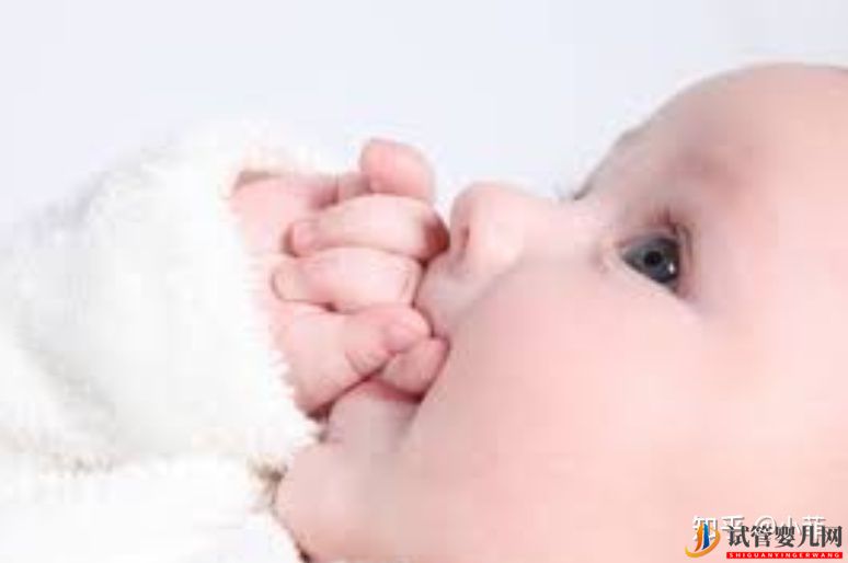 試管嬰兒網:10年經驗專家告訴你_試管嬰兒要多少錢(圖2) 10年經驗專家告訴你_試管嬰兒要多少錢(圖1)