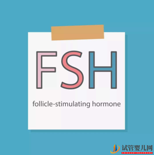 FSH值高怎么做美國試管嬰兒？(圖1)