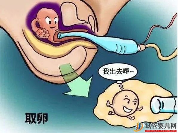 成功的女人,花50萬做試管嬰兒,試管過程你得知道(圖10)
