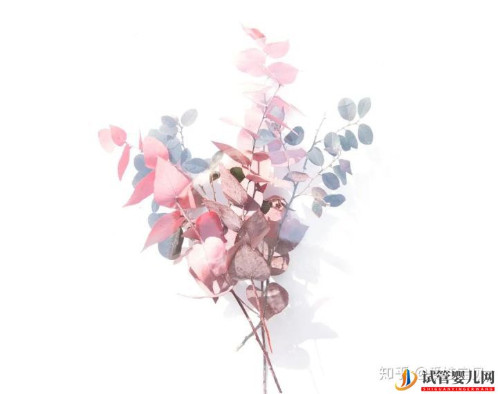 成功的女人,花50萬做試管嬰兒,試管過程你得知道(圖16)