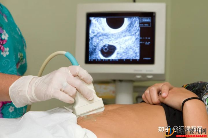 超真實全記錄視頻,揭秘胚胎著床(圖6)