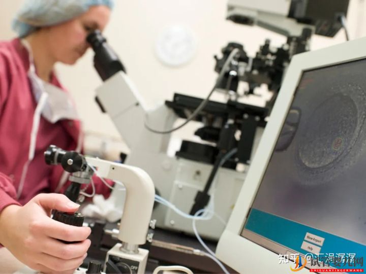 超真實全記錄視頻,揭秘胚胎著床(圖7)