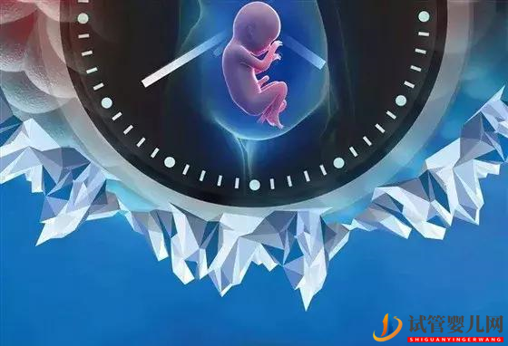 試管嬰兒技術(shù)的9大操作流程(圖2) 試管嬰兒技術(shù)的9大操作流程(圖1)