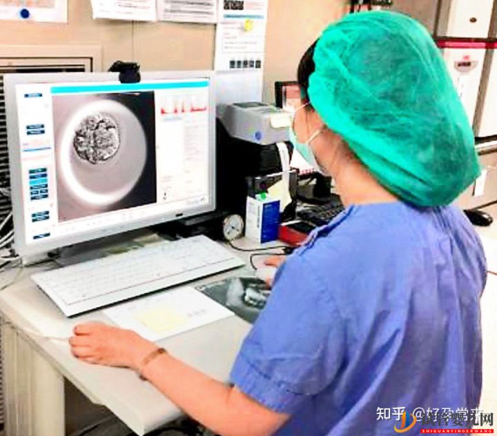 試管嬰兒流程步驟(圖1)