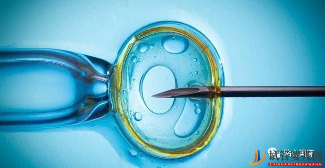 試管嬰兒4大流程，讓你了解它究竟是什么(圖1)