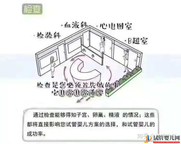 試管嬰兒流程圖,拿走不謝(圖1)