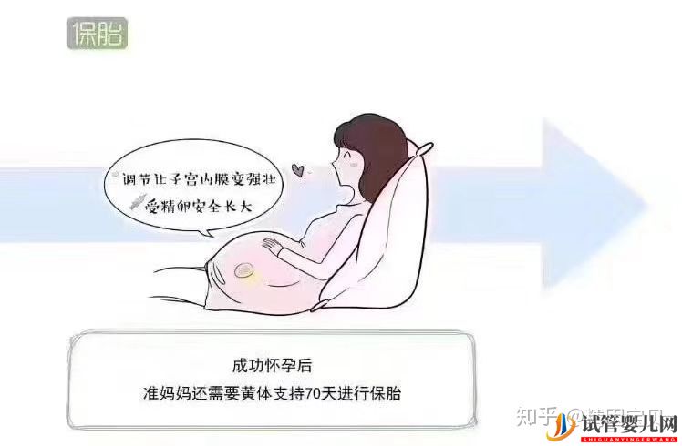 試管嬰兒流程圖,拿走不謝(圖8)