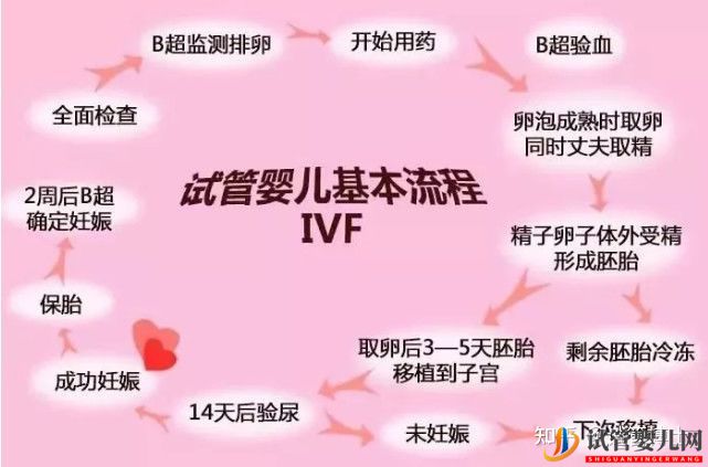 試管嬰兒詳細(xì)流程 建議收藏(圖1)
