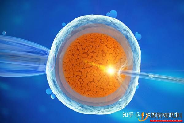 淄博試管嬰兒流程中,取卵并不是最疼的那一個!(圖1)