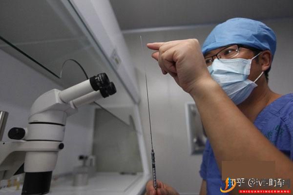 做試管嬰兒的流程——六個步驟(圖1)