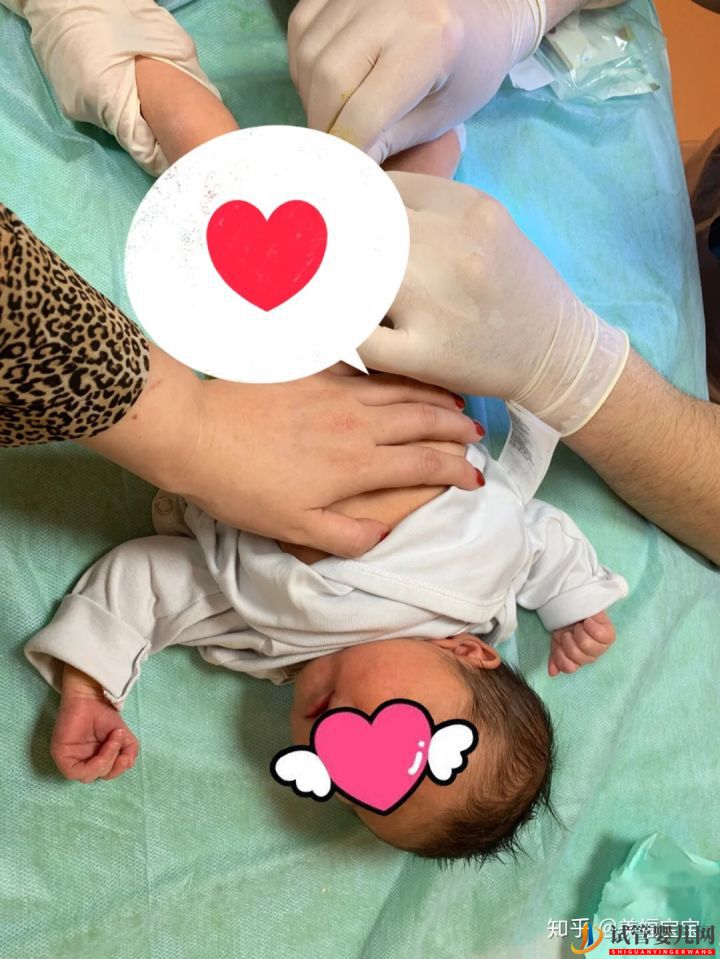 一分鐘教你讀懂,試管嬰兒全流程(圖2) 一分鐘教你讀懂,試管嬰兒全流程(圖2)