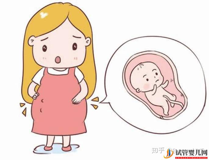 第三代試管嬰兒全部詳細流程!你想知道的都在這(圖2)